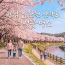 발안천 산책로 이미지