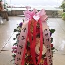 에스모드서울 | [2017 에스모드 서울 졸업작품전] 친구야 졸업 축하한다-★