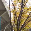 부경고등학교 이미지