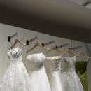 온유빌딩 | 셀레브·시작바이이명순·브라이덜온유 드레스 투어 후기 | 드레스샵 지정 vs 투어 장단점