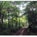 용정사 입구 이미지