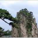 황산가든 이미지