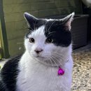 연희세탁마을 | 한달:4월