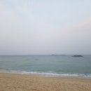 명신전자 이미지