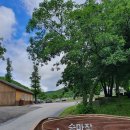 선 목장 이미지