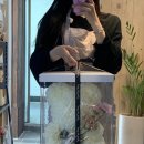 모이스블룸