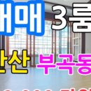 강산부동산공인중개사무소 이미지