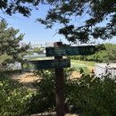 미사뚝방산책로 이미지