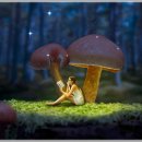 한빛정형외과의원 이미지