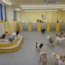 동해경찰-02 이미지