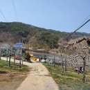 금옥농장 이미지