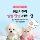 댕냥이키친 이미지