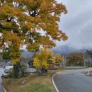 곡성-079 이미지