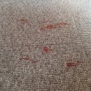 금옥농장 이미지