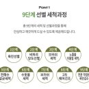 채다움 이미지