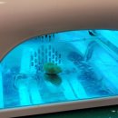 나라보청기상사 이미지