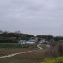 양월1리 이미지