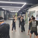 싸이코핏불스 이미지