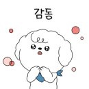 하얀미소스킨케어 이미지