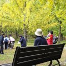 비밀정원 이미지