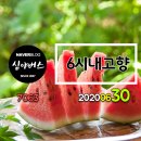 벌교태권도장 이미지