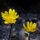 두리두리 이미지