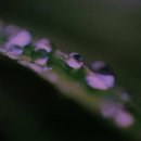 유동세탁소 이미지