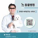 푸식스디자인