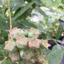 안고농장 이미지