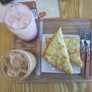 멍토피아 이미지