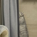 벌말로R 이미지