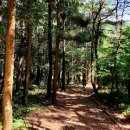 백암제 | 2일차: 백암산-입암산-방장산 백패킹 &amp; 트레킹 (부제 : 영산기맥 2구간)