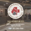 유동물의료센터 이미지