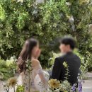 [웨딩촬영] 가성비 플라워디렉팅 로즈앤모어: 촬영후기(세미앙)/센터피스+부케추가/짝꿍코드O/짝꿍할인