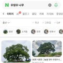 굿데이투어 - 성동구 왕십리로 241 | Farm-Up’s 2회차 투어 후기🌿 | 주남저수지 | 창원 팽나무(우영우나무) | 굿데이뮤지엄 | 해양드라마...