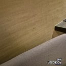 뷰티호텔(BEAUTY HOTEL) | 대만 뷰티 호텔 타이베이 - 호텔 B7 패밀리 쿼드룸 후기, 바퀴주의, Beauty Hotels Taipei - Hotel B7