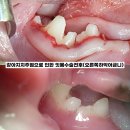 재생동물병원 이미지