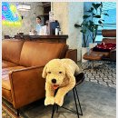 생각과느낌의원 이미지