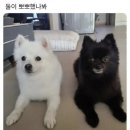 민정비디오 | 일상 + 박효신 콘서트