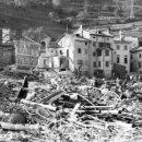 바이온트 이미지