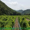 어곡농장 이미지