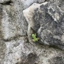 상하고향목장 이미지