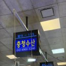 좋은집 | 노량진 수산시장 방어 맛집 &lt;충청수산&gt; 초장집 &lt;전망좋은 집&gt; 내돈내산 후기