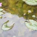 좋은밥집 이미지