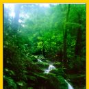 정감이간다 이미지