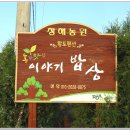 청해펜션 이미지