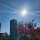 라구다이닝 | 구서동 파스타 어디서 먹지? 1993다이닝 한돈 라구·크림 리조토 상세 리뷰