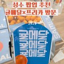 제일견인보관소 | 성수 팝업스토어 추천 🍊 귤 취향 테스트 가능한 귤메달 팝업스토어 후기(+성수주차)