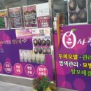 태우큐사랑