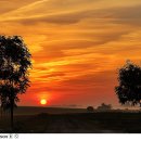 스웨덴세탁 이미지